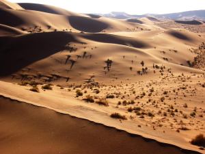 Namib_Desert_Namibia(1)